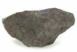 Canyon Diablo Iron Meteorite ( g) - Arizona #246902-1